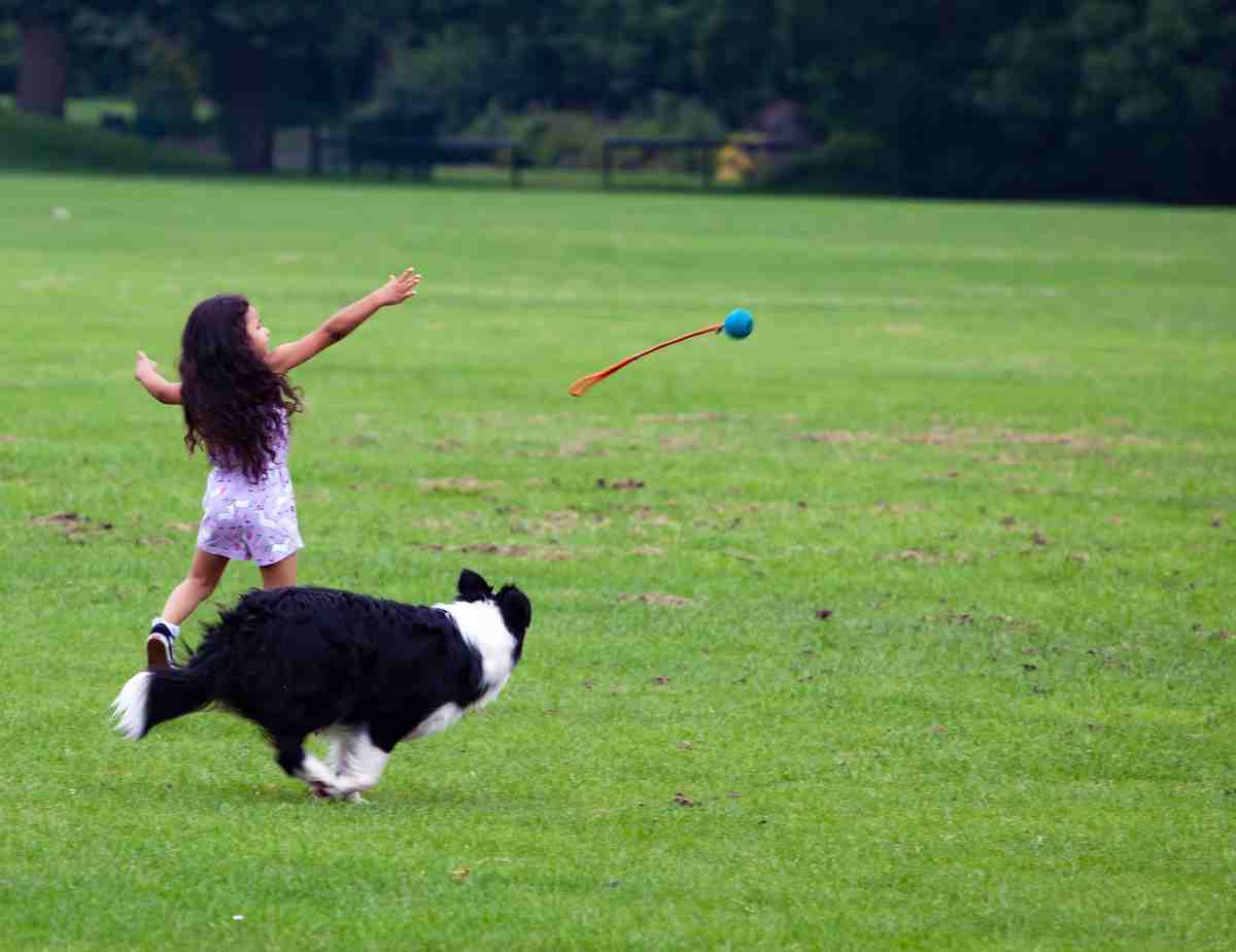 giocoBimba_cane